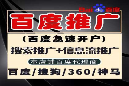 竞价广告案例分析：行业领军企业经验分享